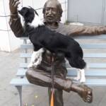 Border collie su una statua
